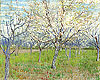 梵谷 Vincent Van Gogh