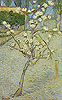 梵谷 Vincent Van Gogh
