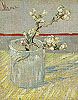 梵谷 Vincent Van Gogh