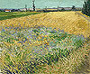 梵谷 Vincent Van Gogh