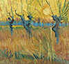 梵谷 Vincent Van Gogh