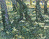 梵谷 Vincent Van Gogh