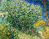 梵谷 Vincent Van Gogh