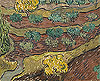 梵谷 Vincent Van Gogh