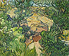 梵谷 Vincent Van Gogh