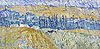 梵谷 Vincent Van Gogh