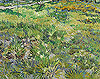 梵谷 Vincent Van Gogh