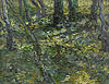 梵谷 Vincent Van Gogh