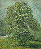 梵谷 Vincent Van Gogh