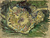 梵谷 Vincent Van Gogh