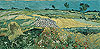 梵谷 Vincent Van Gogh