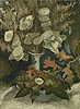 梵谷 Vincent Van Gogh