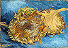 梵谷 Vincent Van Gogh