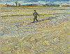 梵谷 Vincent Van Gogh