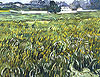 梵谷 Vincent Van Gogh