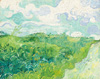 梵谷 Vincent Van Gogh