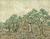 梵谷 Vincent Van Gogh
