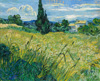 梵谷 Vincent Van Gogh