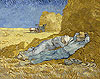 梵谷 Vincent Van Gogh
