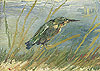 梵谷 Vincent Van Gogh