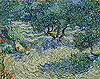 梵谷 Vincent Van Gogh