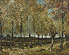 梵谷 Vincent Van Gogh
