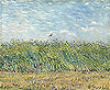 梵谷 Vincent Van Gogh