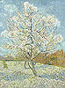 梵谷 Vincent Van Gogh