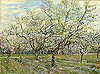 梵谷 Vincent Van Gogh