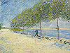 梵谷 Vincent Van Gogh