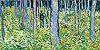 梵谷 Vincent Van Gogh