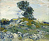 梵谷 Vincent Van Gogh