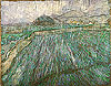 梵谷 Vincent Van Gogh