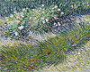 梵谷 Vincent Van Gogh
