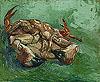 梵谷 Vincent Van Gogh