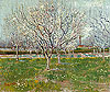 梵谷 Vincent Van Gogh