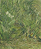 梵谷 Vincent Van Gogh