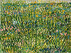 梵谷 Vincent Van Gogh