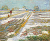 梵谷 Vincent Van Gogh