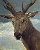 維拉斯奎茲 Diego Velazquez