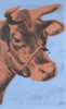 安迪沃荷 Andy Warhol